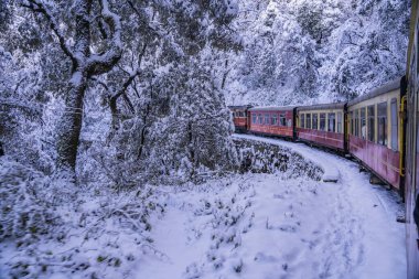 Shimla