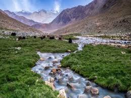 Nubra Valley