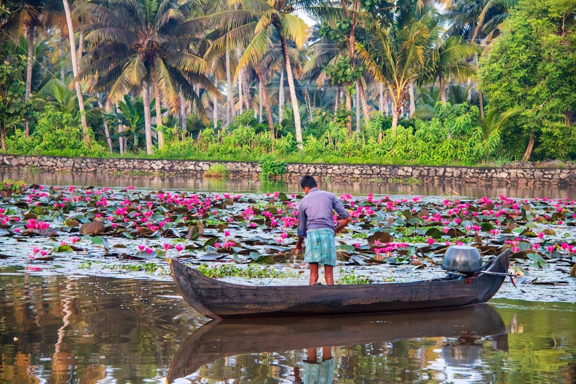 Romantic Escape to Kerala: 5 Nights & 6 Days of Honeymoon Bliss