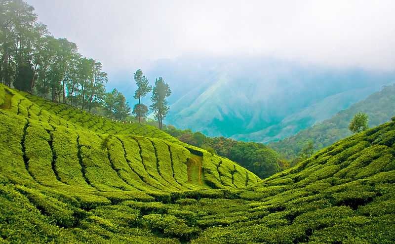 Kerala tour package for 4Nights 5Days