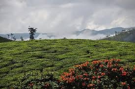 Thekkady