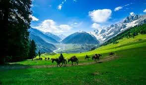 Srinagar