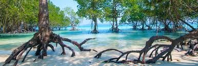 Havelock Island