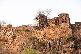 Ranthambore: Where Majestic Wildlife Meets Ancient History