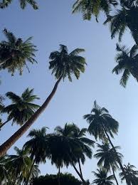Andaman Wonders: 04 Nights 05 Days A Perfect Vacation with Stunning Beach and Island Experiences