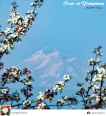 Kausani
