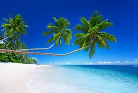 Havelock Island