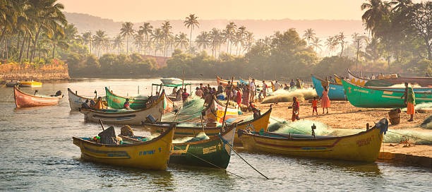 Ultimate Goan Getaway: 8 Nights and 9 Days of Beaches, History, and Adventure