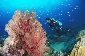 Andaman Islands Explorer: 05 Night 06  Days of Sun, Sand, and Adventure
