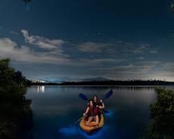 Andaman Islands Explorer: 05 Night 06  Days of Sun, Sand, and Adventure