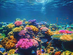 Havelock Island