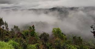 Coorg