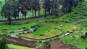 Ooty: The Enchanting Queen of Hill Stations