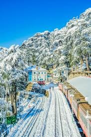 Shimla Chail  naldehra mashobra    packages for 7 Night 8 Days - Travel On Ease