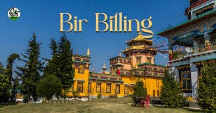 Bir