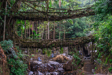 Explore Guwahati, Shillong & Cherrapunji - Trek to Living Root Bridges