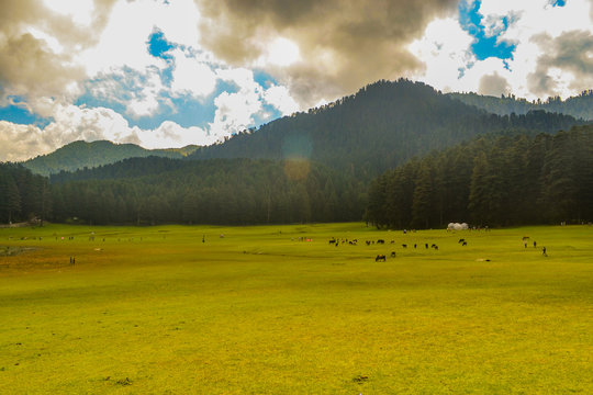 Dalhousie   tour packages for 6 Night 7 Days - Travel On Ease