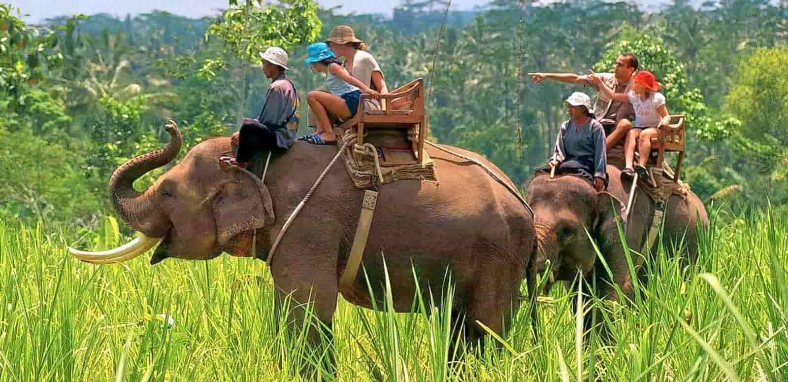 Jim Corbett Tour Package For 2Nights 3Days - Travel On Ease