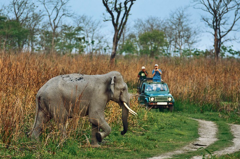 Jim Corbett