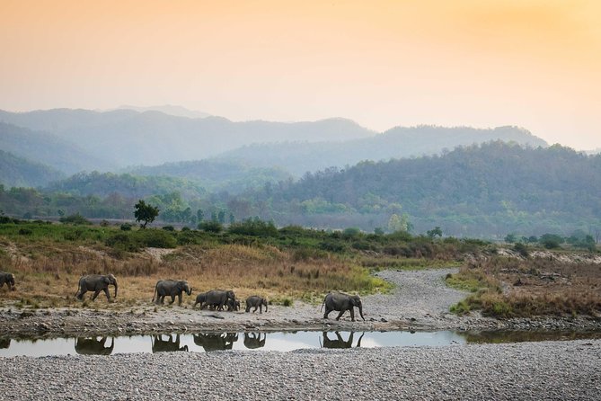 Jim Corbett