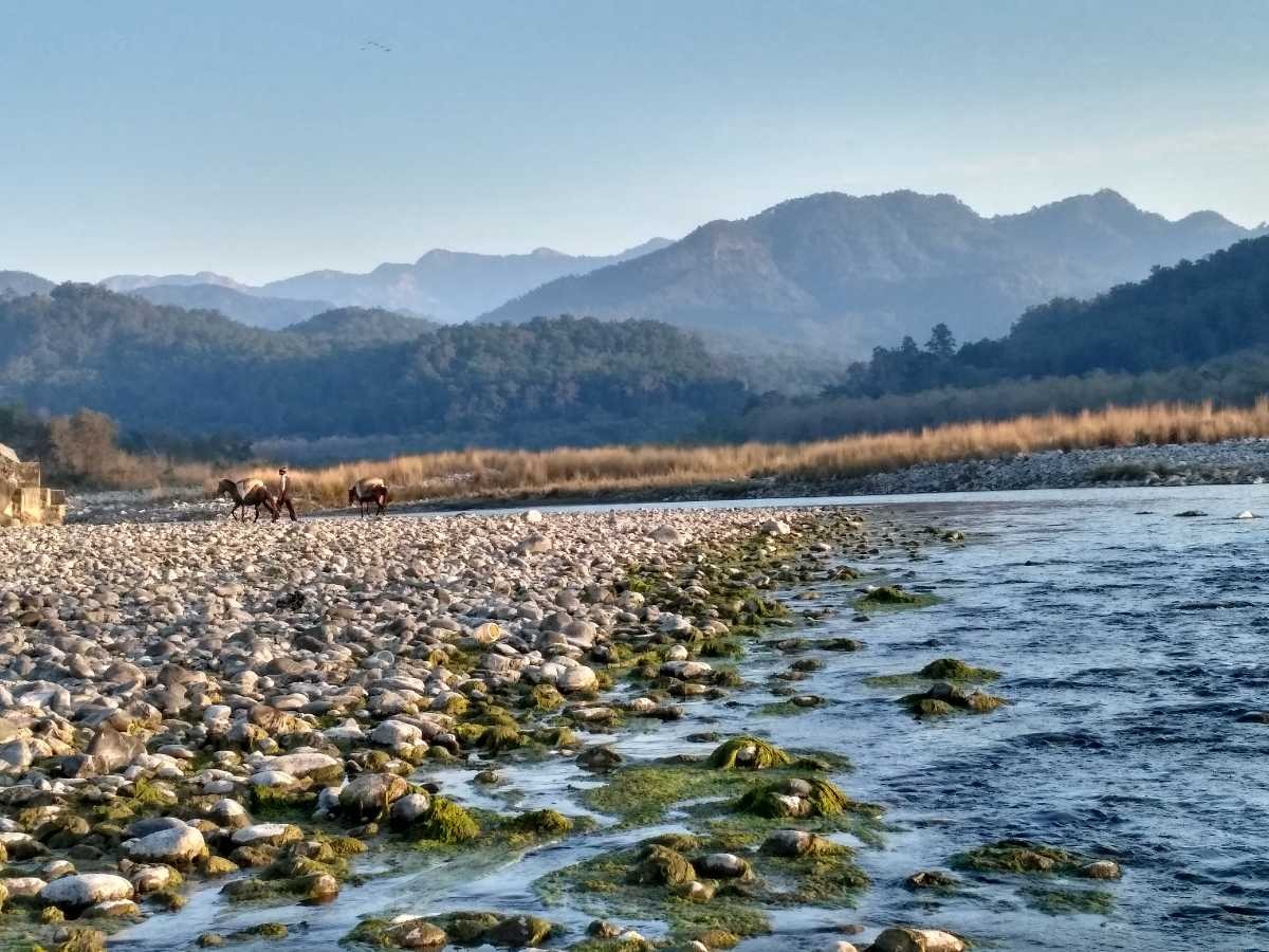 Jim Corbett