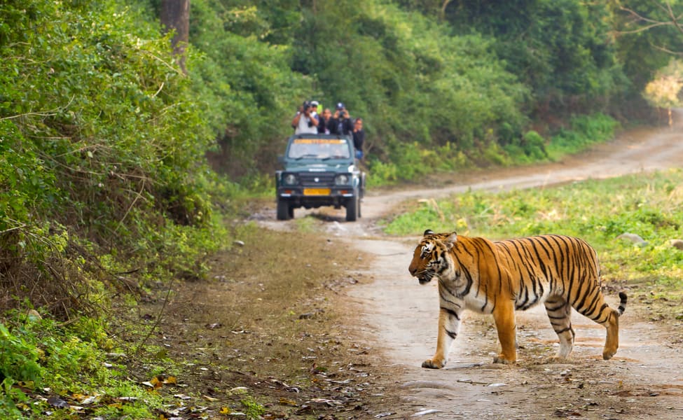 Jim Corbett tour package for 5Nights 6Days - Travel On Ease