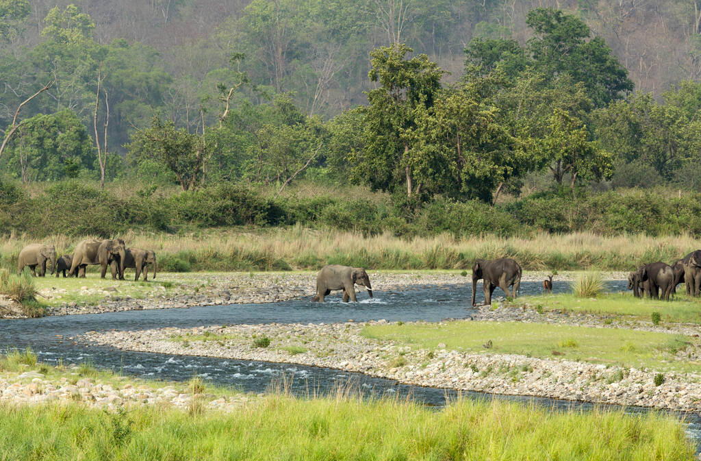 Jim Corbett