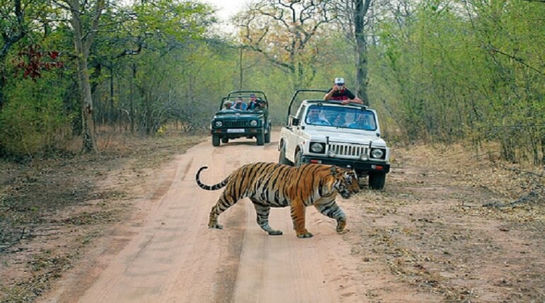 Jim Corbett