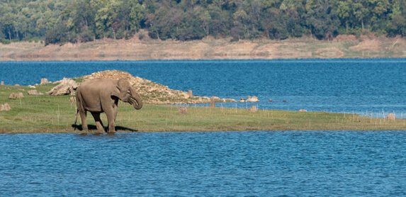 Jim Corbett Tour Package for 4Nights 5Days - Travel On Ease