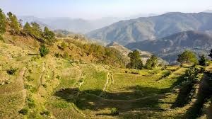 Ranikhet tour packages for 1 Night 2 Days - Travel On Ease