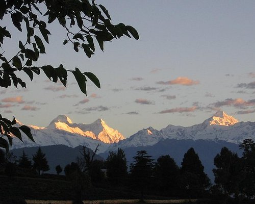 Binsar  tour packages for 2 Night 3 Days - Travel On Ease