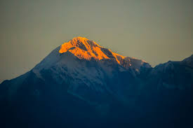 Binsar tour packages for 3 Night 4 Days - Travel On Ease