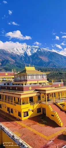 Dharmshala 3night 4days- Travel On Ease