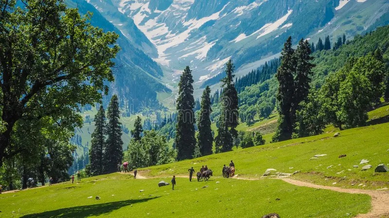 Sonamarg   tour packages for 9 Night 10 Days - Travel On Ease