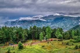 Patnitop