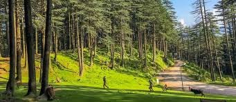 Patnitop  tour packages for 6 Night 7 Days - Travel On Ease