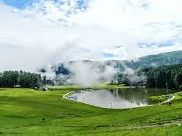 Patnitop