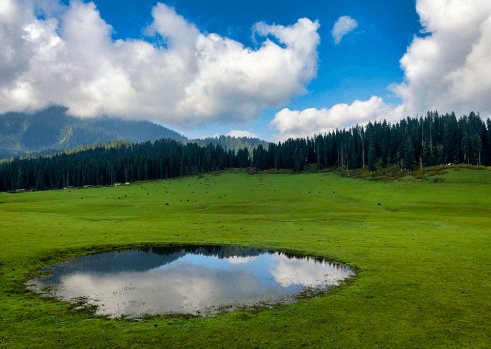 8 Nights 9 days Kashmir  Honeymoon tour