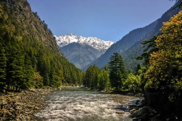 Manali  Honeymoon Packages for 4 Night 5 Days - Travel On Ease