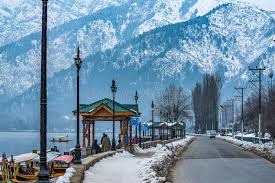 Srinagar