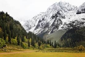 Kashmir Honeymoon Packages for 7 Night 8 Days - Travel On Ease