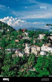 Shimla