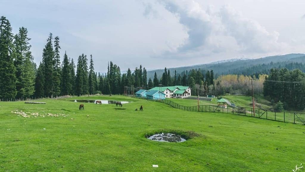 7Nights 8 days Kashmir Honeymoon tour