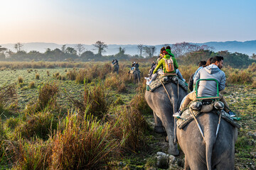 Kaziranga Safari Package For 3 Nights 4 Day