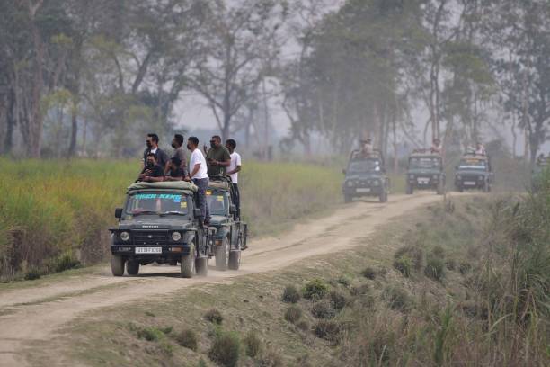 Kaziranga Safari Package For 5Nights 6Day