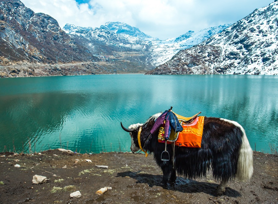 Gangtok  Package For 3 Nights 4 Days