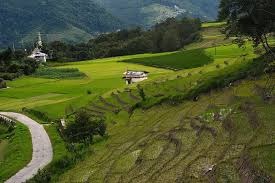 Arunachal Pradesh Package For 3 Nights 4 Days