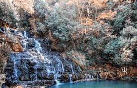 Shillong  Package For 7 Nights 8 Days