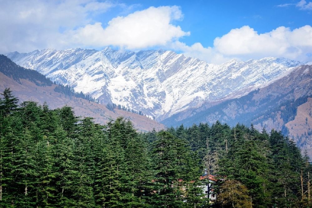 4 Nights 5 days   Manali Shimla    Friends   tour  Package