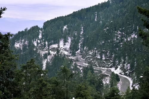 Shimla